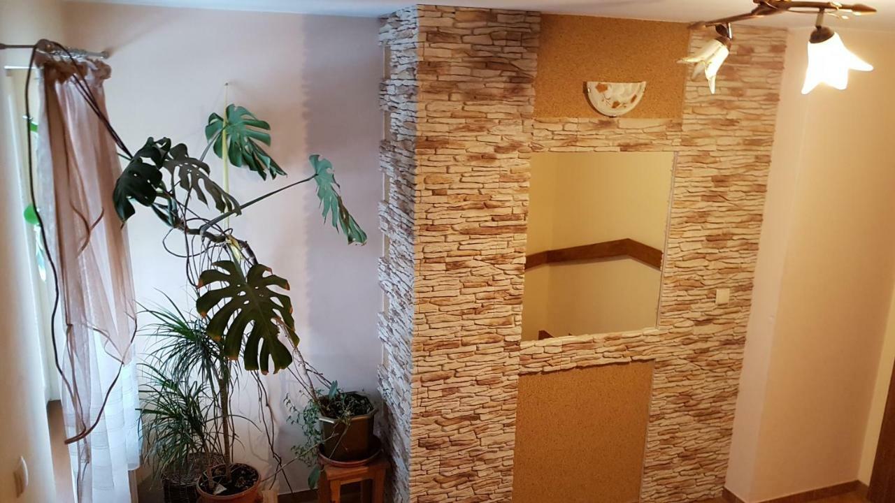 Pokoje Goscinne U Halinki Zab Extérieur photo